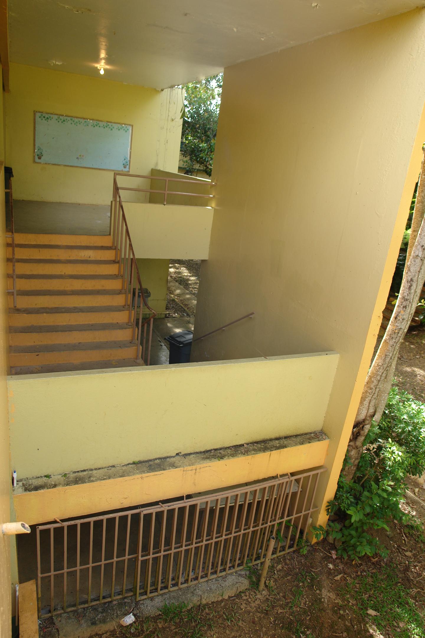 FDII - Aibonito - 2010 00074